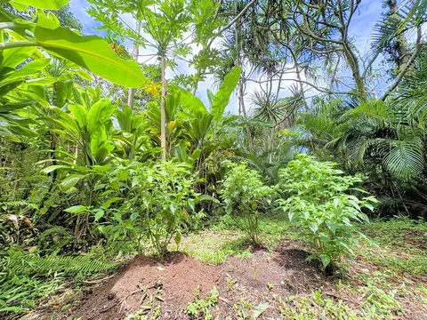 12-306 Pohakupele Loop, Pahoa, HI 96778 photo 15