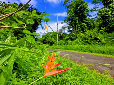 Ohiki St, Pahoa, HI 96778