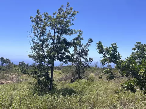 92-8436 King Kamehameha Blvd, Ocean View, HI 96737