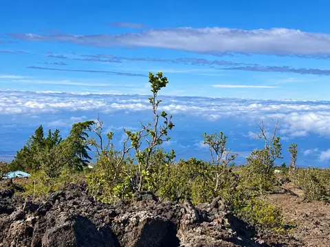 Undisclosed, Ocean View, HI 96737 photo 3