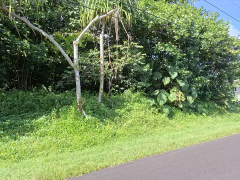 Opae St, Pahoa, HI 96778