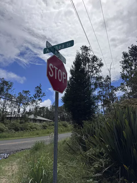 11-3142 Anuhea St, Volcano, HI 96785 photo 3