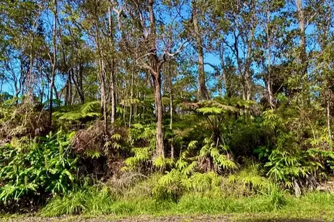 Anuhea Pl, Volcano, HI 96785 photo 5