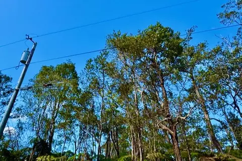 Anuhea Pl, Volcano, HI 96785 photo 3