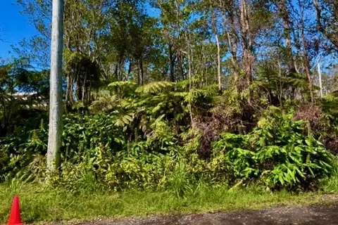 Anuhea Pl, Volcano, HI 96785 photo 6