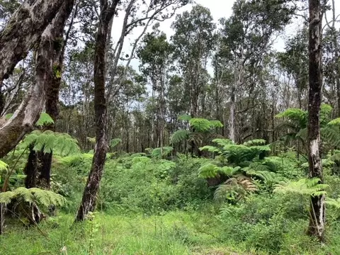 Huakai St, Volcano, HI 96785 photo 7