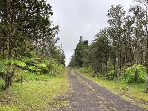 Huakai St, Volcano, HI 96785 photo 20