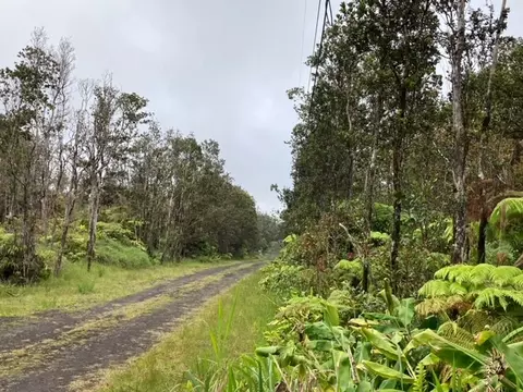Huakai St, Volcano, HI 96785 photo 21