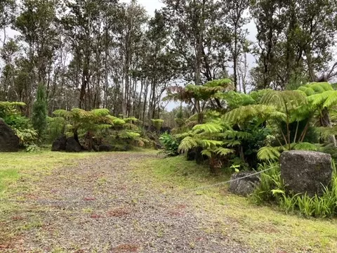 Huakai St, Volcano, HI 96785 photo 19