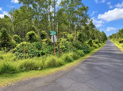Anuhea St, Volcano, HI 96785 photo 5