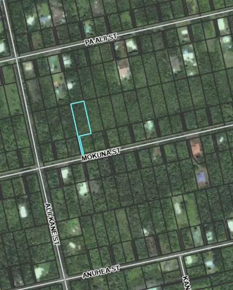 Mokuna St, Volcano, HI 96785 photo 5