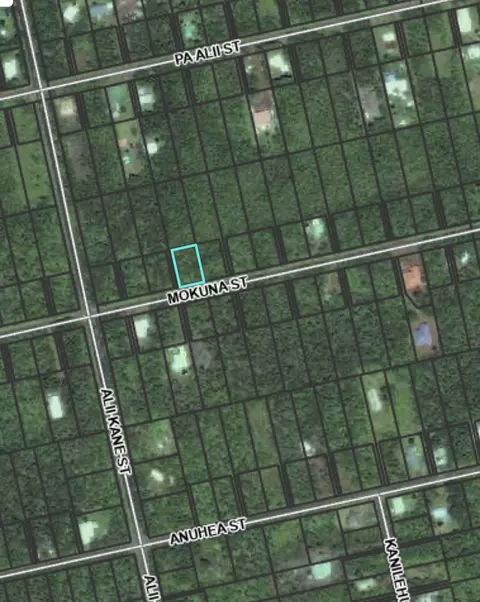 Mokuna St, Volcano, HI 96785 photo 6