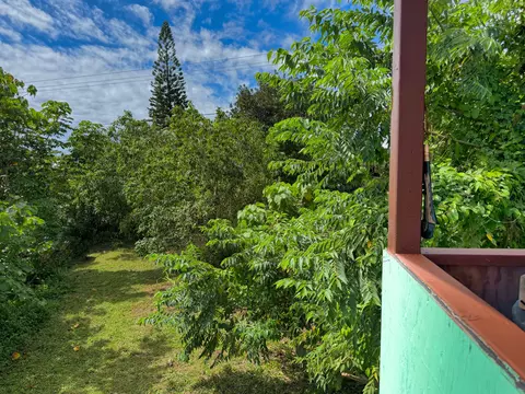 Exterior - 12-126 Mapuana Ave, Pahoa, HI 96778 photo 7 of 11