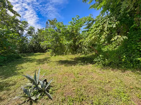 Exterior - 12-126 Mapuana Ave, Pahoa, HI 96778 photo 10 of 11