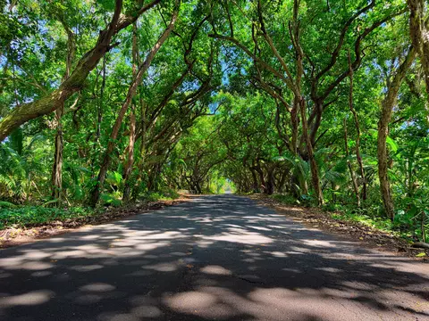 Other - 12-126 Mapuana Ave, Pahoa, HI 96778 photo 6 of 6