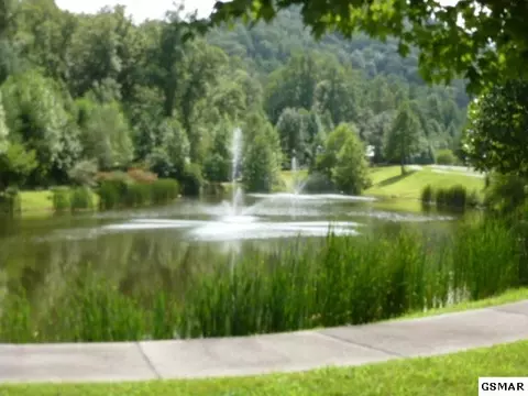 456 Mt John Loop Rd, Townsend, TN 37882 photo 6