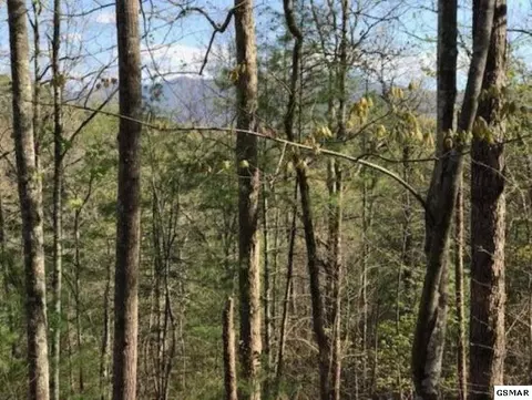 456 Mt John Loop Rd, Townsend, TN 37882 photo 1
