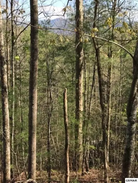 456 Mt John Loop Rd, Townsend, TN 37882 photo 7