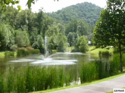 456 Mt John Loop Rd, Townsend, TN 37882 photo 5