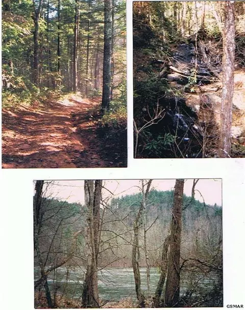 6607 Highway 68, Farner, TN 37333 photo 2