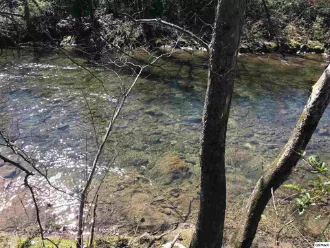 3316 Old Mill St, Pigeon Forge, TN 37863 photo 5