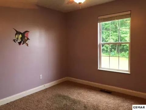 7546 Kathryn Cir, Talbott, TN 37877 photo 5