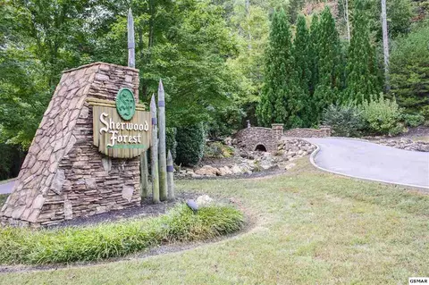 4335 Forest Ridge Way, Pigeon Forge, TN 37863 photo 32