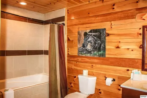 4335 Forest Ridge Way, Pigeon Forge, TN 37863 photo 13