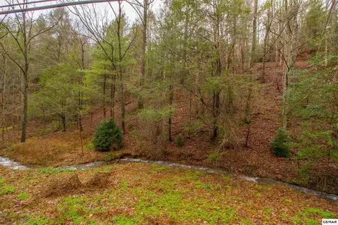 543 Butler Branch Rd, Gatlinburg, TN 37738