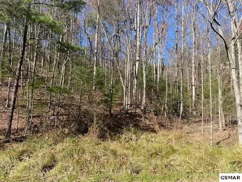 Lot 111 Sourwood Honey Dr, Sevierville, TN 37876