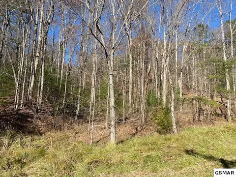 lot56 Wintergreen Dr, Sevierville, TN 37876