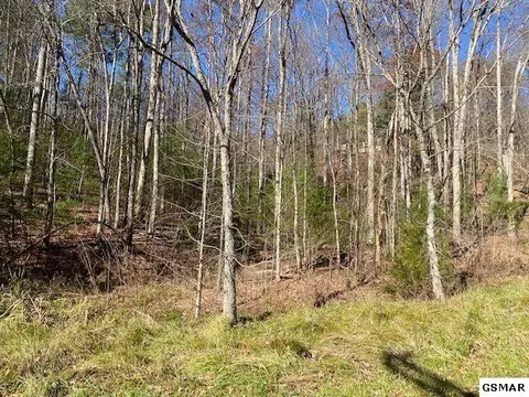 Lot 55 Wintergreen Dr, Sevierville, TN 37876