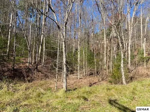 lot55 Wintergreen Dr, Sevierville, TN 37876