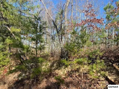 lot49 Wintergreen Dr, Sevierville, TN 37876