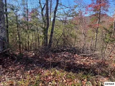 Lot 48 Wintergreen Dr, Sevierville, TN 37876