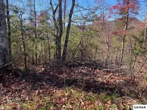 lot48 Wintergreen Dr, Sevierville, TN 37876