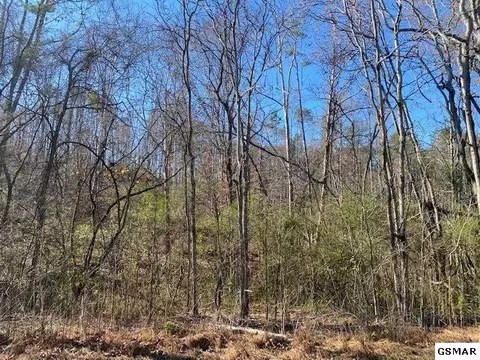 lot46 Silverbell Dr, Sevierville, TN 37876