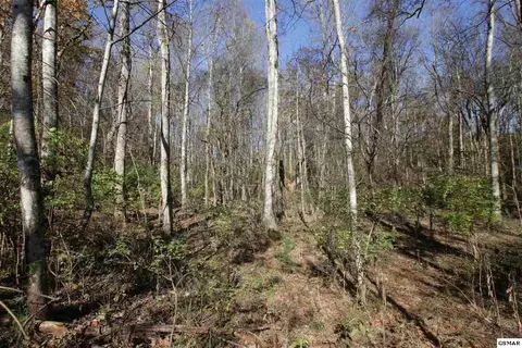 908 Doe Dr, Greenback, TN 37742 photo 4