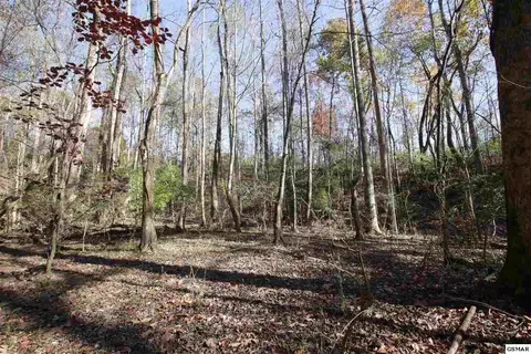 908 Doe Dr, Greenback, TN 37742 photo 11