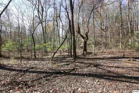 908 Doe Dr, Greenback, TN 37742 photo 10