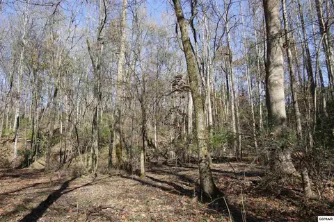 908 Doe Dr, Greenback, TN 37742 photo 8