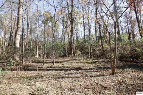 908 Doe Dr, Greenback, TN 37742 photo 6