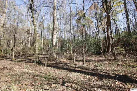 908 Doe Dr, Greenback, TN 37742 photo 7
