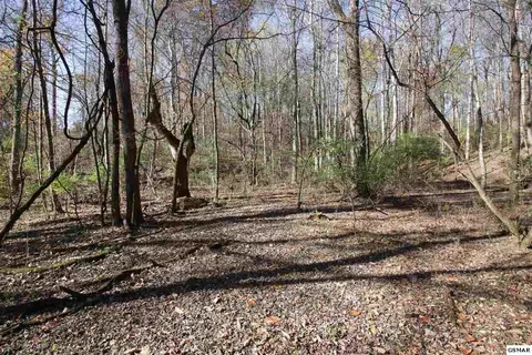 908 Doe Dr, Greenback, TN 37742 photo 9