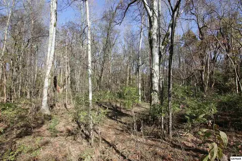 908 Doe Dr, Greenback, TN 37742 photo 5