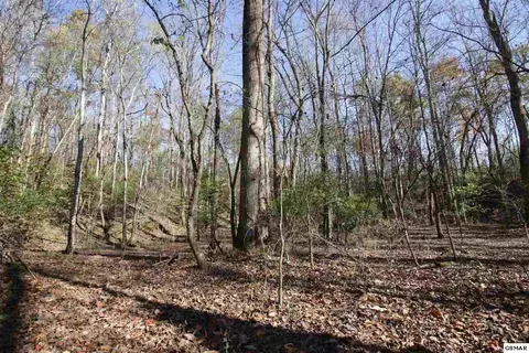 908 Doe Dr, Greenback, TN 37742 photo 12