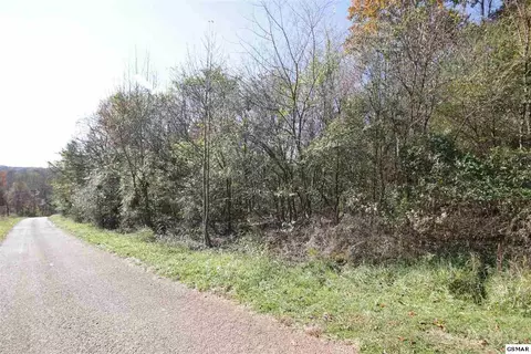 908 Doe Dr, Greenback, TN 37742 photo 3