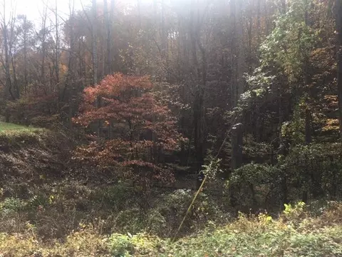 lot22 Beechwood St, Sevierville, TN 37876