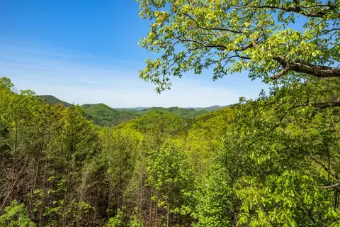 4475 Stackstone Rd, Sevierville, TN 37862 photo 54