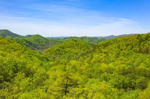 4475 Stackstone Rd, Sevierville, TN 37862 photo 57